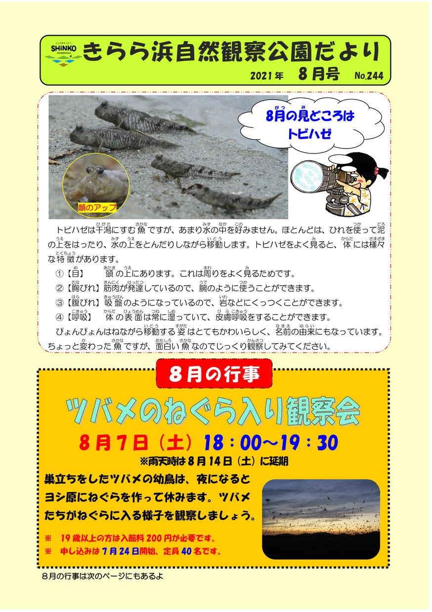 きらら浜自然観察公園だより 8月号 No 244 ヤマグチイーブックス Yamaguchi Ebooks 山口県の電子書籍ポータルサイト